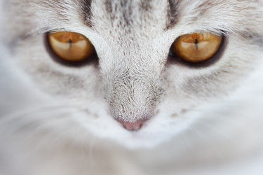 Similar image 1533338