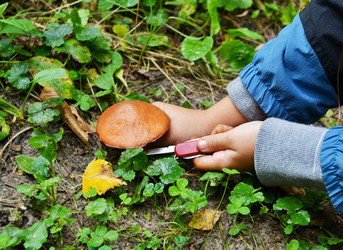 Similar image 1533357