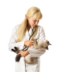 Similar image 1533371