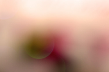 Similar image 1533390