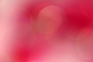 Similar image 1533411