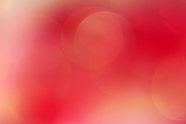 Similar image 1533412