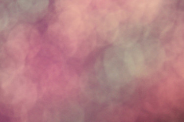 Similar image 1533413