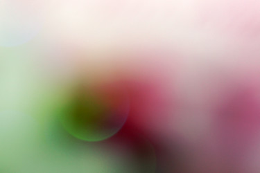 Similar image 1533434