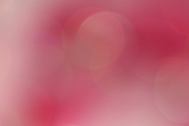 Similar image 1533454