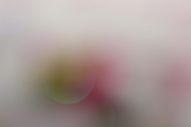 Similar image 1533591