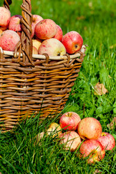 Similar image 1533666