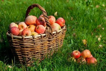 Similar image 1533667