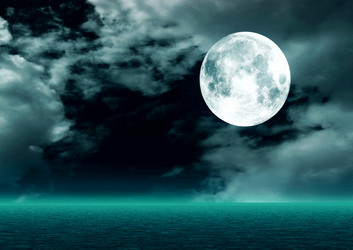 Similar image 1533695