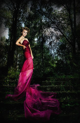 Similar image 1533752