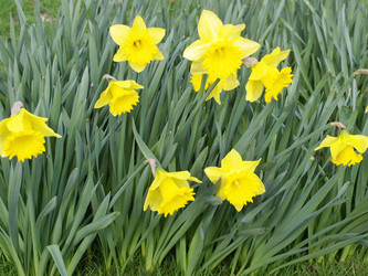 Similar image 1533850