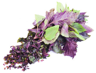 Similar image 1533897