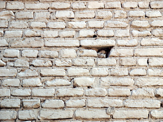 Similar image 1533918