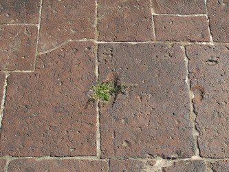 Similar image 1533983