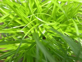 Similar image 1534008