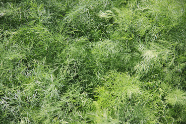 Similar image 1534076