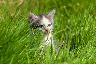 Similar image 1534084