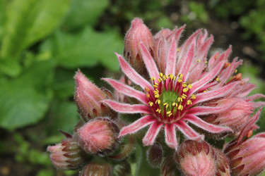 Similar image 1534087