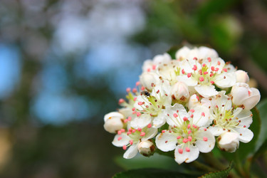 Similar image 1534088