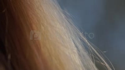 Enhancers erection penis