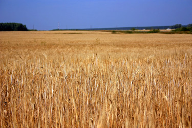 Similar image 1534116