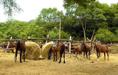 Similar image 1534138