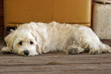 Similar image 1534142