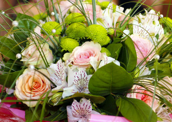 Similar image 1534143