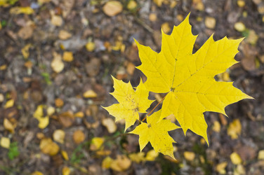 Similar image 1534180