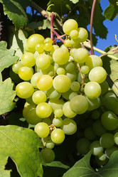 Similar image 1534289