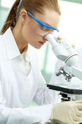 Similar image 1534290