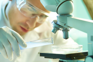 Similar image 1534292