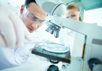 Similar image 1534299