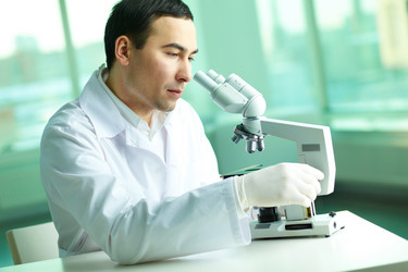 Similar image 1534300