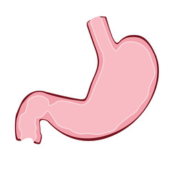 Similar image 1534395