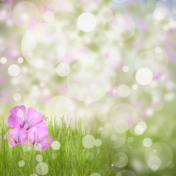 Similar image 1534435