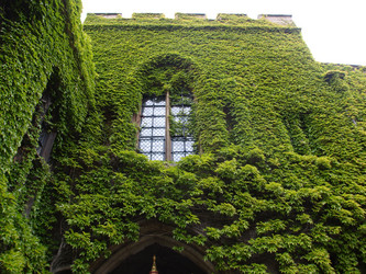 Similar image 1534544