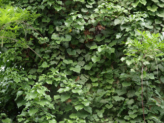 Similar image 1534559