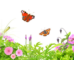 Similar image 1534575