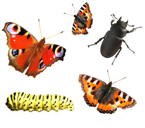 Similar image 1534576