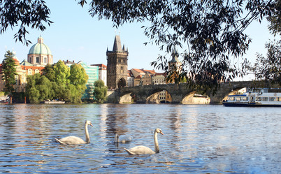 Similar image 1534593