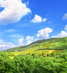 Similar image 1534616