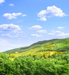 Similar image 1534618