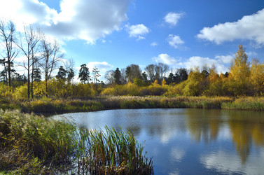 Similar image 1534887