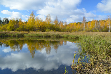 Similar image 1534888