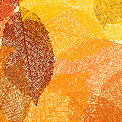 Similar image 1535011