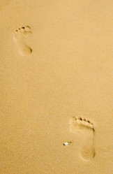 Similar image 1535012