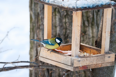 Similar image 1535028