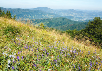 Similar image 1535033