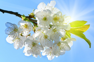 Similar image 1535034